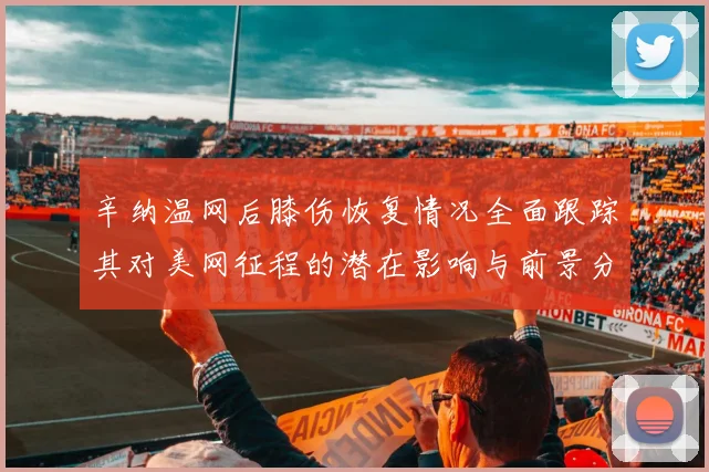 辛纳温网后膝伤恢复情况全面跟踪其对美网征程的潜在影响与前景分析