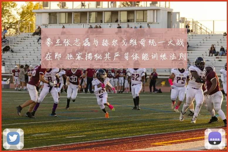 拳王张志磊与赫尔戈维奇统一大战在即 独家揭秘其严苛体能训练法则